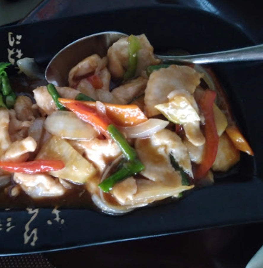 POLLO con salsa JAPONESA